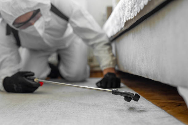 Professional Termite Control technician working in Gary, IN