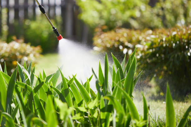 24/7 Emergency Termite Control experts in Gary, IN