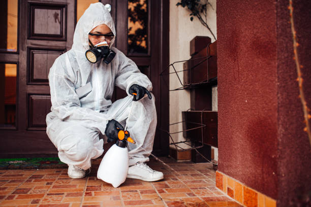 Reliable Termite Control contractor in Gary, IN by Nex Pest Control
