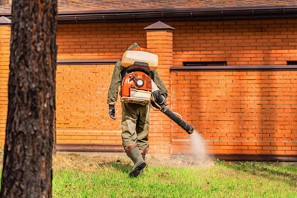 Top rated local Termite Control specialists in Gary, IN